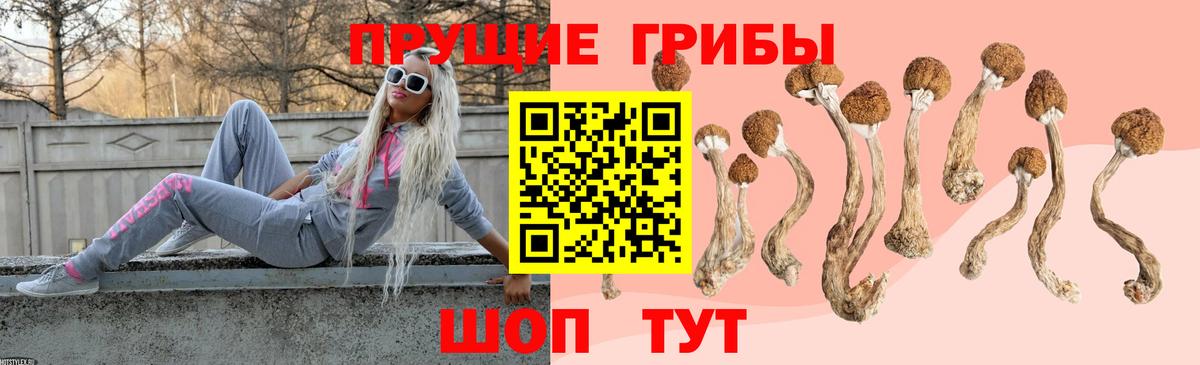 Галлюциногенные грибы ЛСД Щёлково